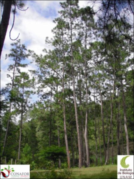 74056_S1_ARC_20130709_001_001.jpg.jpg