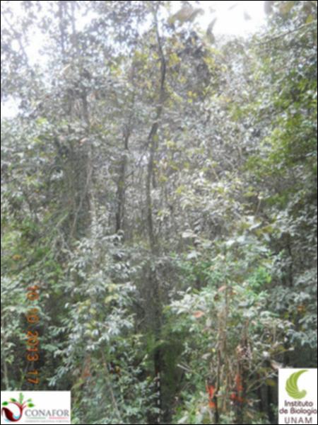 64920_S1_ARC_20131010_001_001.jpg.jpg