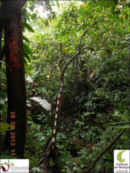71460_S1_ARC_20130526_026_001.jpg.jpg
