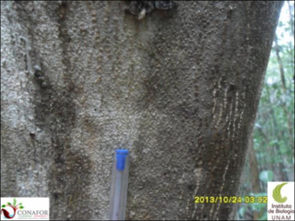 57394_S3_CRT_20131024_010_001.jpg.jpg