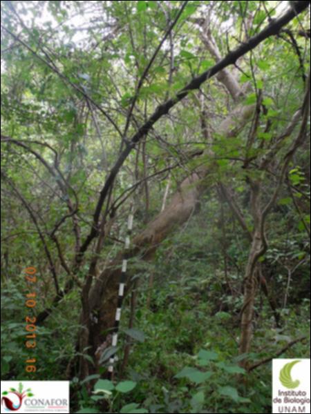 62837_S1_ARC_20131007_003_001.jpg.jpg