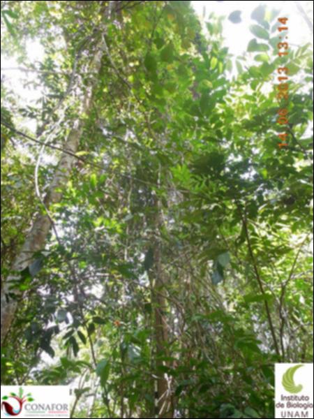 71872_S1_ARC_20130614_028_003.jpg.jpg