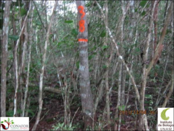53067_S4_ARC_20131104_036_001.jpg.jpg