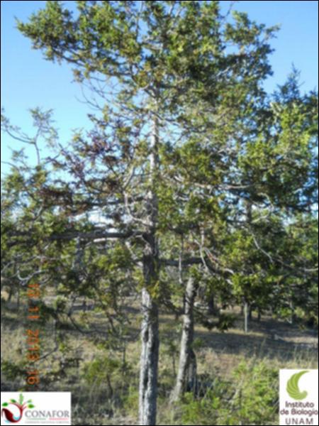 27364_S1_ARC_20131113_013.jpg.jpg