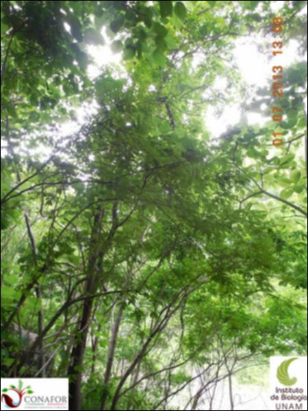 77267_S1_ARC_20130701_010_001.jpg.jpg