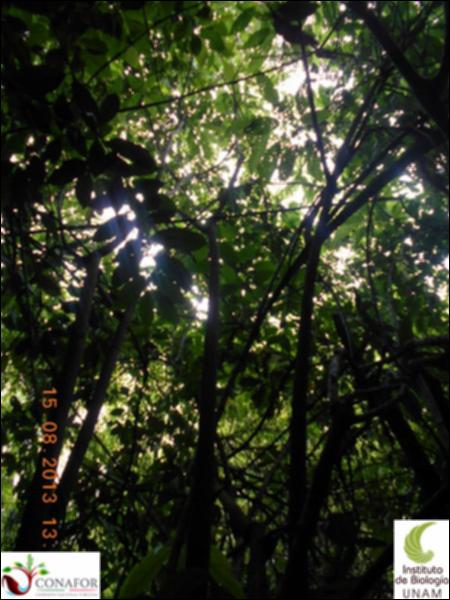 76944_S1_ARC_20130815_017_001.jpg.jpg