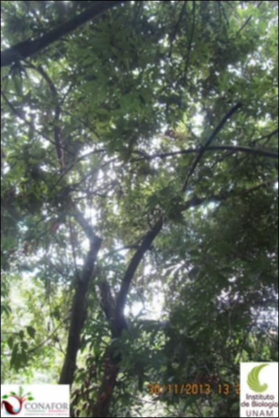 52308_S1_ARC_20131130_011_002.jpg.jpg