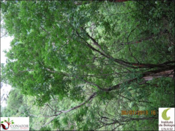 65159_S4_ARC_20130706_027.jpg.jpg