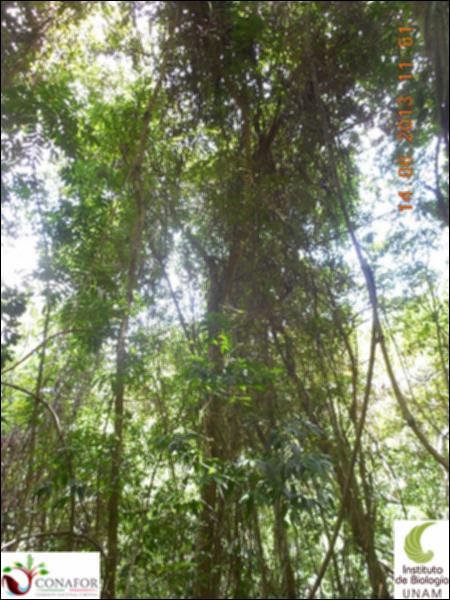 71872_S1_ARC_20130614_001_002.jpg.jpg