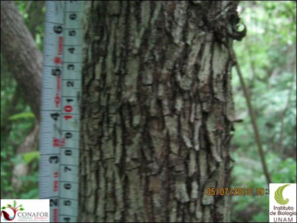 77672_S2_CRT_20130705_006_001.jpg.jpg