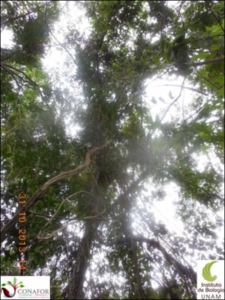 68287_S1_ARC_20131031_012_002.jpg.jpg