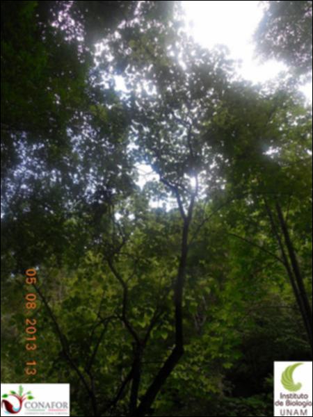 76829_S1_ARC_20130805_002_002.jpg.jpg