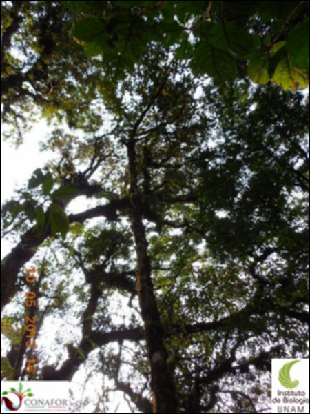 72924_S1_ARC_20130509_035_002.jpg.jpg