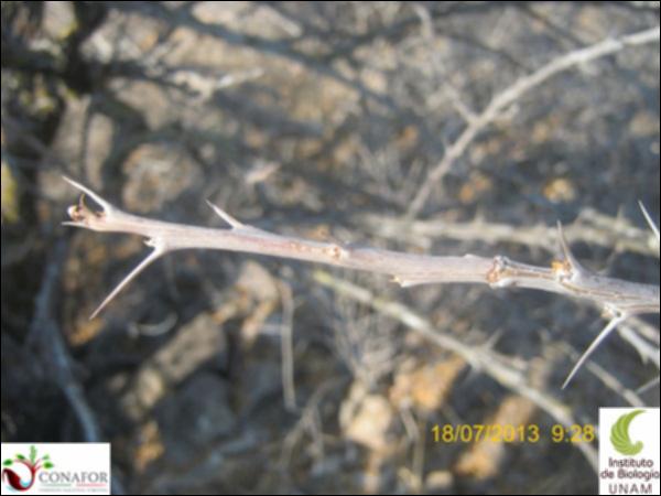 25523_S1_HJ2_20130718_003.jpg.jpg