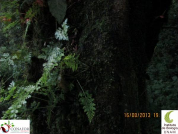 59742_S1_CRT_20130816_004.jpg.jpg