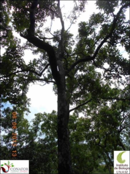 74323_S1_ARC_20130806_001_002.jpg.jpg