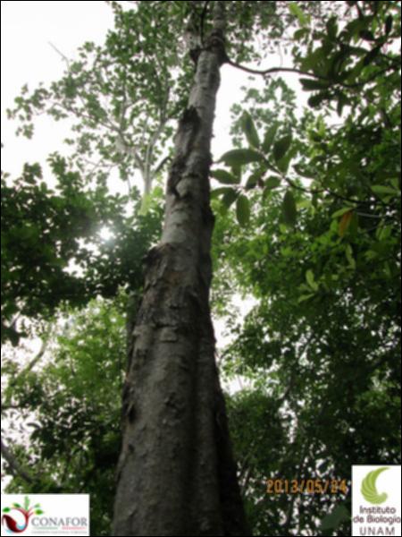 65991_S1_ARC_20130524_006_001.jpg.jpg