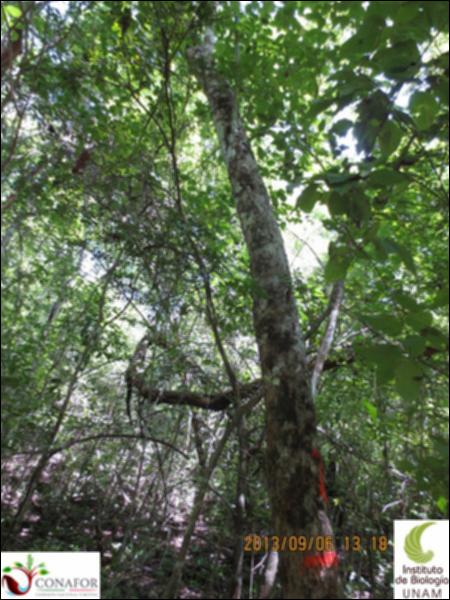 63736_S1_ARC_20130906_003_001.jpg.jpg