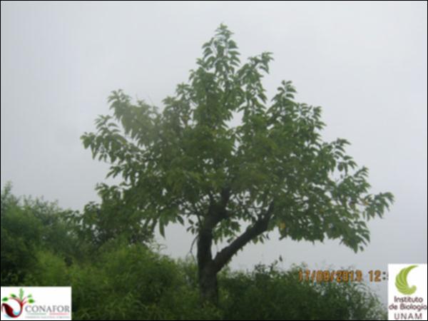 33646_S2_ARC_20130918_005.jpg.jpg