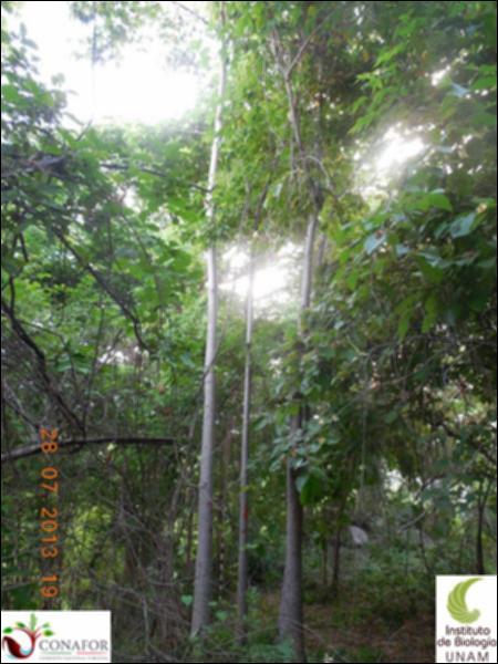 77050_S2_ARC_20130728_004_001.jpg.jpg