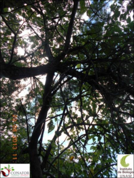 70487_S2_ARC_20130823_005_002.jpg.jpg