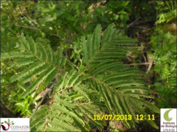 58513_S4_HJ1_20130715_001.jpg.jpg