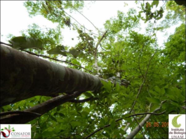59434_S2_ARC_20130526_065_001.jpg.jpg