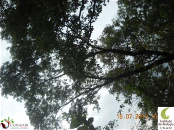 56693_S1_ARC_20130715_016.jpg.jpg
