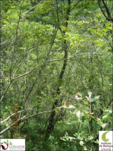 69341_S1_ARC_20131002_011_001.jpg.jpg