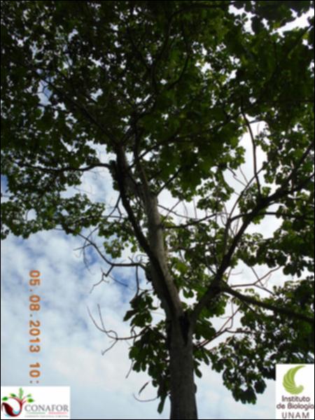74723_S2_ARC_20130805_001_002.jpg.jpg