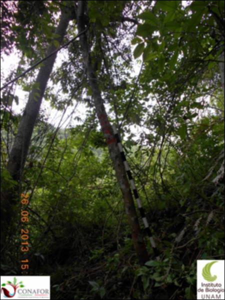 77178_S3_ARC_20130626_007_001.jpg.jpg