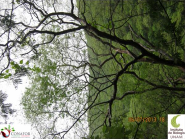 65159_S2_ARC_20130706_014.jpg.jpg