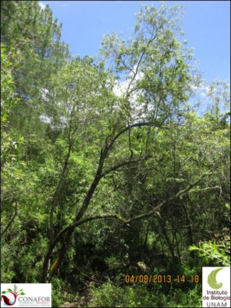 58488_S2_ARC_20130804_009.jpg.jpg
