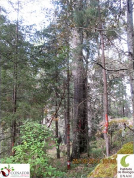 42600_S2_ARC_20131025_011.jpg.jpg
