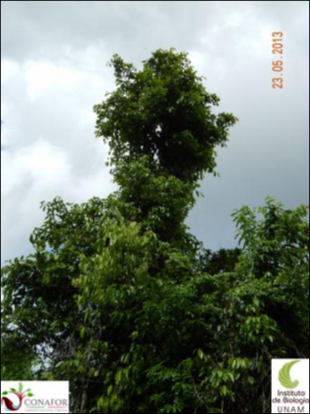 64835_S1_ARC_20130523_003_001.jpg.jpg