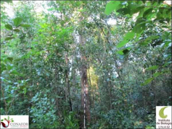 55193_S2_ARC_20131009_052_001.jpg.jpg