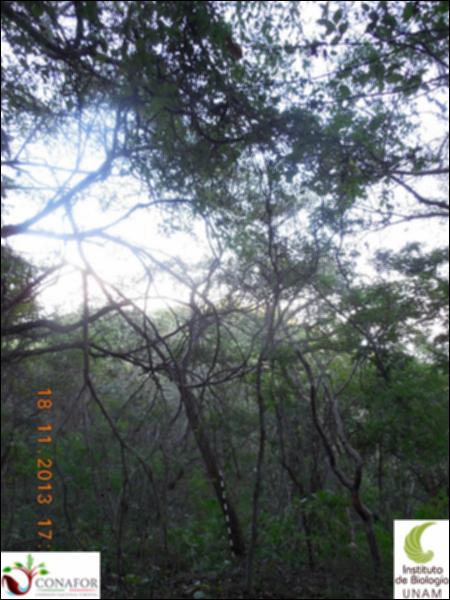 65189_S3_ARC_20131118_015_001.jpg.jpg