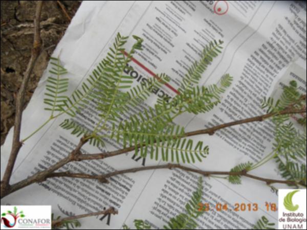 67597_EX_HJ1_20130423_998_001.jpg.jpg