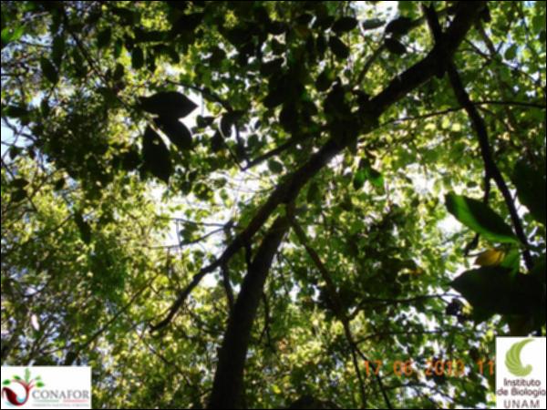 77446_S1_ARC_20130617_012_002.jpg.jpg