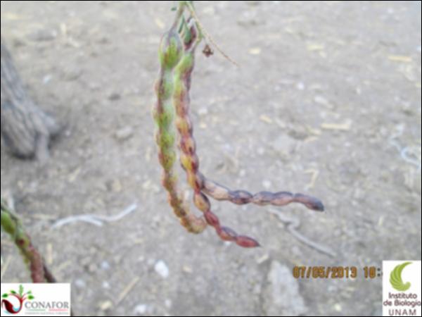 45548_S1_FRT_20130507_002.jpg.jpg