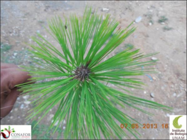 72077_S4_HJ1_20130507_017_001.jpg.jpg
