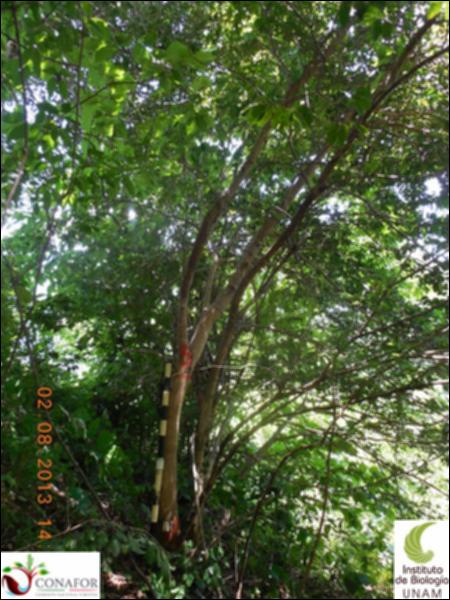 75713_S4_ARC_20130802_003_001.jpg.jpg