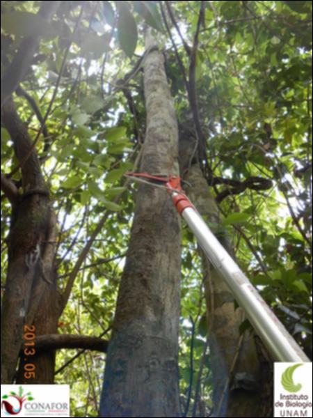 63498_S2_ARC_20130513_008_001.jpg.jpg