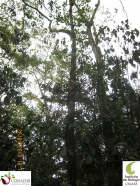 66730_S2_ARC_20130426_010_002.jpg.jpg