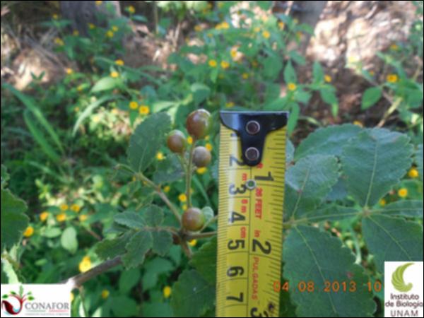 75321_S2_FRT_20130803_006_001.jpg.jpg