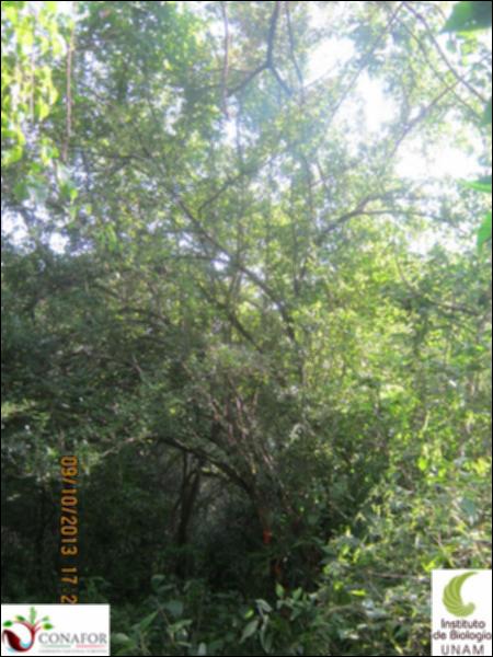 49397_S4_ARC_20131009_006.jpg.jpg