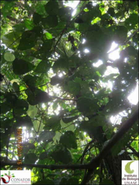 70083_S2_ARC_20130509_008_002.jpg.jpg