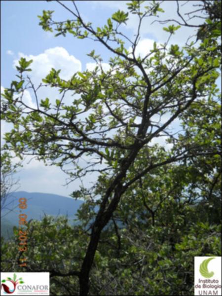 73956_S1_ARC_20130608_003_002.jpg.jpg