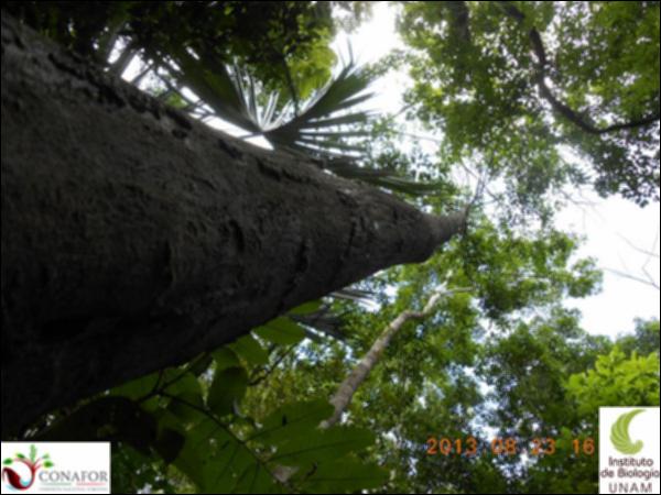 57916_S1_ARC_20130823_021_001.jpg.jpg
