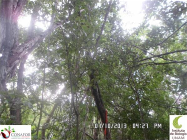 53528_S4_ARC_20131007_001_001.jpg.jpg